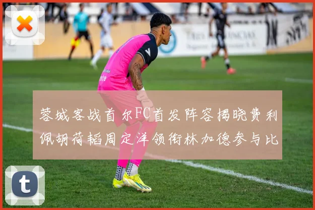 蓉城客战首尔FC首发阵容揭晓费利佩胡荷韬周定洋领衔林加德参与比赛